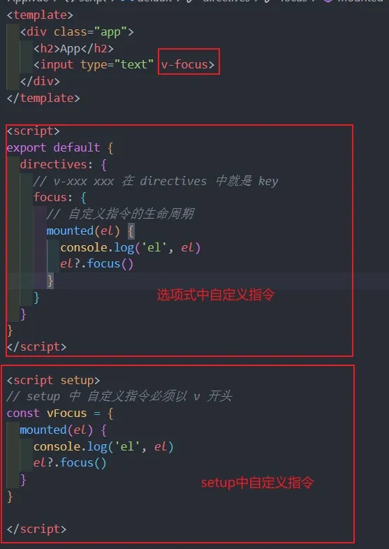 局部自定义指令